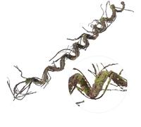 CONGZHANHH 180cm/70.86in Bendable Artificial Tree Branches Liana Vines Garland Rattan with Moss Fake Plants Twigs for Wall Hanging Home Room Outdoor Wedding Background Decoration