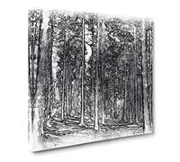 Conifer Tree Forest Vol.1 Sketch Canvas Print | Gallery Wrapped 30mm Frame Wall Art | 20x20 inches | Ready to Hang | Modern Landscape Picture | Living Room Bedroom Lounge Office