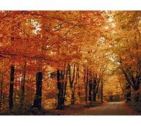 Conjugation and the Diels-Alder Reaction