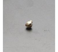 Conn/King French Horn String Screw