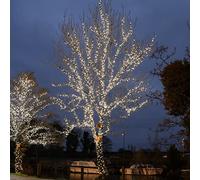 ConnectGo Outdoor LED String Lights Connectable - Extendable - Black Rubber Cable - Christmas, Parties, Weddings (50m, White w/Plug)
