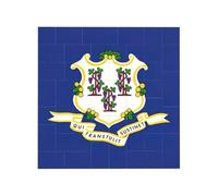 Connecticut State Flag Print Building Brick Block Puzzle Square Creative Building Blocks Jigsaw Home Desk Decor