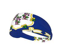 Connecticut State Flag Print Elastic Headband Adjustable Fit Yoga Hiking Headband