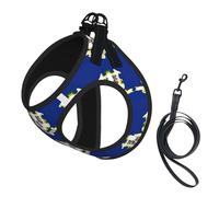Connecticut State Flag printing Puppy Harness, Dog Harness and Leash Set, Soft Mesh Reflective Breathable Lightweight Vest-Style