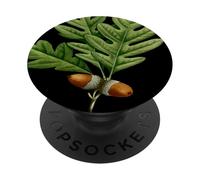 Connecticut Territory Tree The White Oak PopSockets Adhesive PopGrip