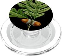 Connecticut Territory Tree The White Oak PopSockets PopGrip for MagSafe