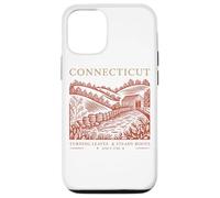 Connecticut Turning Leaves Steady Roots Case for iPhone 12/12 Pro