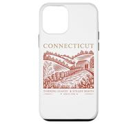 Connecticut Turning Leaves Steady Roots Case for iPhone 12 mini