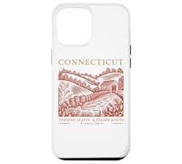 Connecticut Turning Leaves Steady Roots Case for iPhone 12 Pro Max