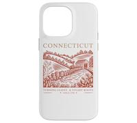 Connecticut Turning Leaves Steady Roots Case for iPhone 14 Pro Max