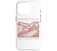 Connecticut Turning Leaves Steady Roots Case for iPhone 16 Pro