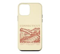 Connecticut Turning Leaves & Steady Roots State Pride Case for iPhone 12 mini