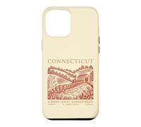 Connecticut Turning Leaves & Steady Roots State Pride Case for iPhone 12 Pro Max