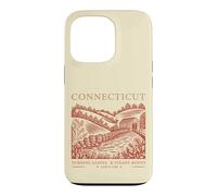 Connecticut Turning Leaves & Steady Roots State Pride Case for iPhone 13 Pro