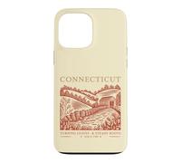 Connecticut Turning Leaves & Steady Roots State Pride Case for iPhone 13 Pro Max