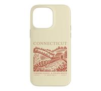 Connecticut Turning Leaves & Steady Roots State Pride Case for iPhone 14 Pro Max