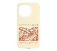 Connecticut Turning Leaves & Steady Roots State Pride Case for iPhone 15 Pro