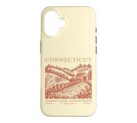 Connecticut Turning Leaves & Steady Roots State Pride Case for iPhone 16