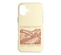 Connecticut Turning Leaves & Steady Roots State Pride Case for iPhone 16 Plus