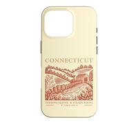 Connecticut Turning Leaves & Steady Roots State Pride Case for iPhone 16 Pro