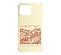 Connecticut Turning Leaves & Steady Roots State Pride Case for iPhone 16 Pro Max