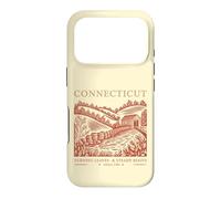 Connecticut Turning Leaves & Steady Roots State Pride Case for iPhone 17 Pro