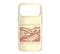 Connecticut Turning Leaves & Steady Roots State Pride Case for iPhone 17 Pro Max
