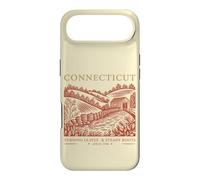 Connecticut Turning Leaves & Steady Roots State Pride Case for iPhone Air