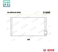 GLYCO 71-3572/6 STD Big End Bearings
