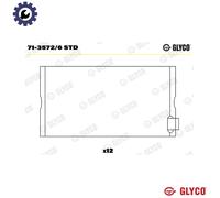 GLYCO 71-3572/6 STD Big End Bearings