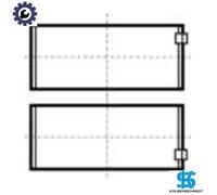 CONNECTING ROD BEARING 79408600 STD FOR D5A-TA/T/BTA 4.8L 4cyl D7A-T/TA 7.1L