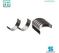 KOLBENSCHMIDT CB-1213GP STD Conrod Bearing Set