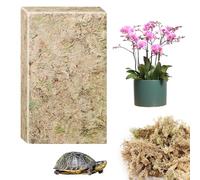 CONNECTION 190g Natural Sphagnum Moss Dried Forest Moss for Potted Plants and Reptile Terrariums
