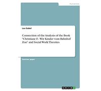 Connection of the Analysis of the Book "Christiane F. - Wir Kinder vom Bahnhof Zoo" and Social Work Theories
