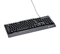 DP Building Systems KB232 keyboard Universal USB QWERTY UK English Black