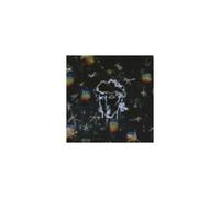 CONNOLLY/ECHO COLLECTIVE: PHAETHON BECALMED - LP vinyl BRAND NEW