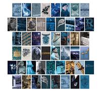 Conquest Journals Harry Potter Ravenclaw Wall Collage, Set of Fifty 4"x6" Official Art Prints From The Wizarding World, Printed on Quality Card Stock, Matte Finish