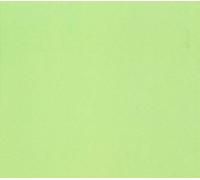 Conrad Schnitzler - Grun [VINYL]