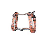 Consentida Dog Harness for Small Dogs T1-20 - 40 x 1.5 cm - Made of Nylon - Eyes Design - Size S - Very Robust and Comfortable - Accessories for Dogs