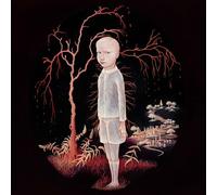 Constant Follower - The Smile You Send Out Returns To You [VINYL]