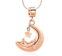 constantlife Moon Cat Urn Necklace for Ashes Cremation Jewelry for Cat Lovers Memorial Pendant for Pet Loss Stainless Steel Kitten Keepsake Charm Gift for Women Men, Stainless Steel, No Gemstone