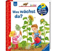Constanza Droop Wieso? Weshalb? Warum? junior, Band 22: Was wächs (Spiral Bound)