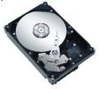 Constellation 1.0TB SATA 6Gb/s (ST1000NM0011) -