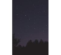 Constellation: Ursa Major / Great Bear / Big Dipper Journal: 150 page lined notebook/diary