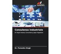 Consulenza industriale: Dr Singh Industry Consultancy Jaipur Rajasthan