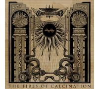 CONSUMMATION - THE FIRES OF CALCINATION VINYL LP NEW