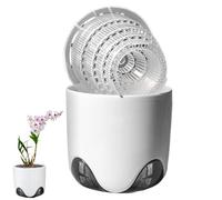 Container for Orchids - Guide Pots for Dendrobium Roots, Decorative Plant Holder, Transparent Growth Pot, Elegant Indoor Planter for Bookcase, Windowsill, Balcony, Displ
