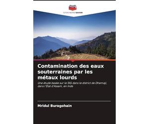 Contamination des eaux souterraines par les métaux lourds: Une étude basée sur le SIG dans le district de Dhemaji, dans l'État d'Assam, en Inde