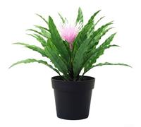 Contemporary Bonsai Ornament with For FERN Design Elements for Modern Interior Arrangements and Styling (pink)