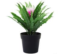 Contemporary Bonsai Ornament with For FERN Design Elements for Modern Interior Arrangements and Styling (Lotus)